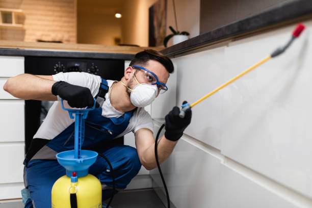 Best Rat Extermination Near Me  in Black Canyon City, AZ