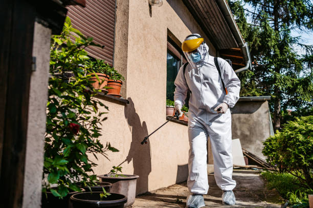 Best Bed Bug Extermination  in Black Canyon City, AZ
