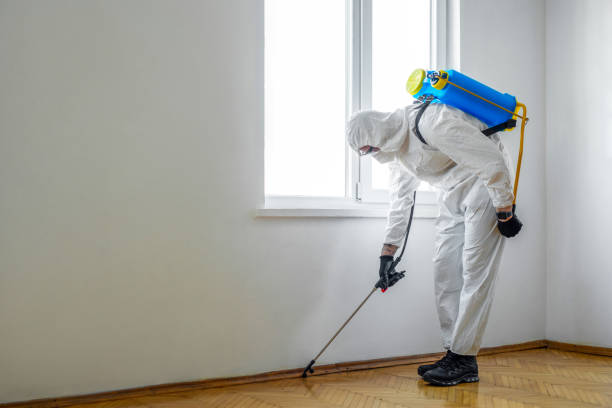 Best Affordable Pest Control Services  in Black Canyon City, AZ