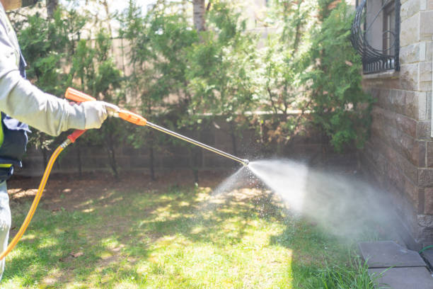 Best Flea Control Services  in Black Canyon City, AZ